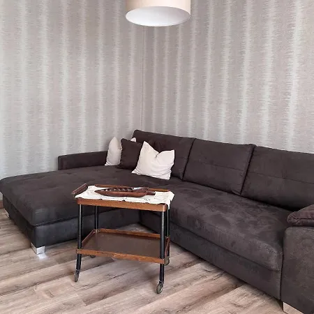 Schoene Altbauwohnung Mit Grosser Sonnenterrasse Apartment