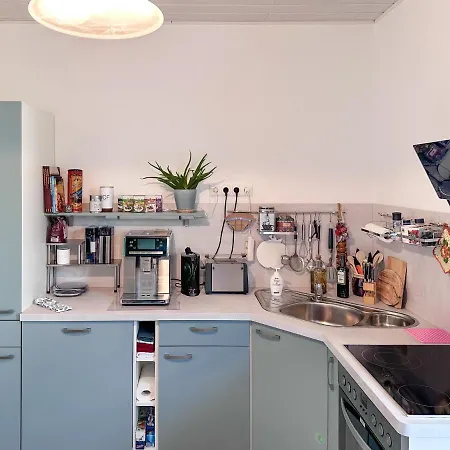 Schoene Altbauwohnung Mit Grosser Sonnenterrasse Apartment