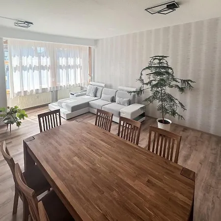 Schoene Altbauwohnung Mit Grosser Sonnenterrasse Apartment