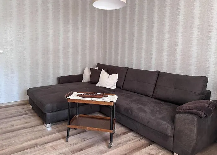 Schoene Altbauwohnung Mit Grosser Sonnenterrasse Apartment