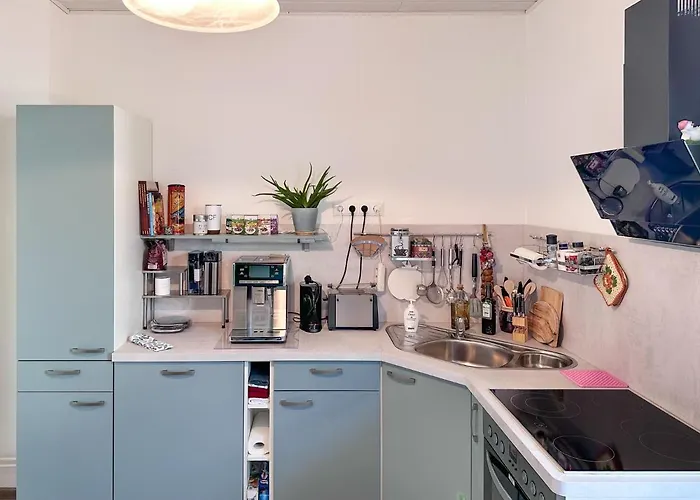 Schoene Altbauwohnung Mit Grosser Sonnenterrasse Apartment