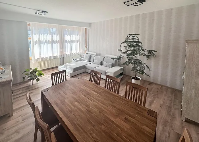 Schoene Altbauwohnung Mit Grosser Sonnenterrasse Apartment